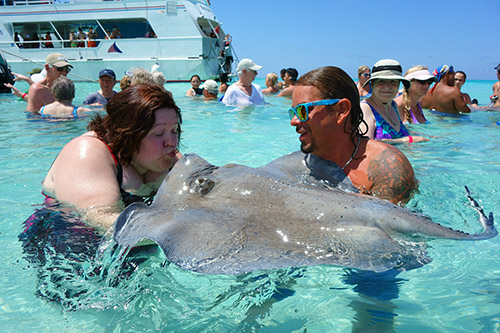 Q kisses a stingray at Stingray City, an excursion from the tender port of Grand Cayman Island from Royal Caribbean's Navigator of the Seas on our Caribbean Cruise vacation