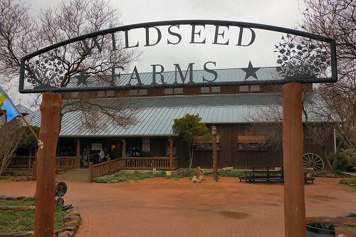 Wildseed Farms in Fredericksburg Texas